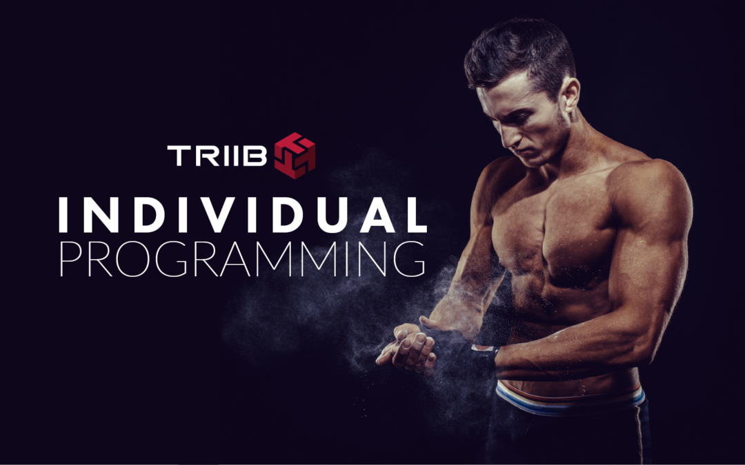 Individual Programming In TRIIB