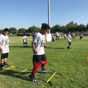 Greens-Athletic-Performance