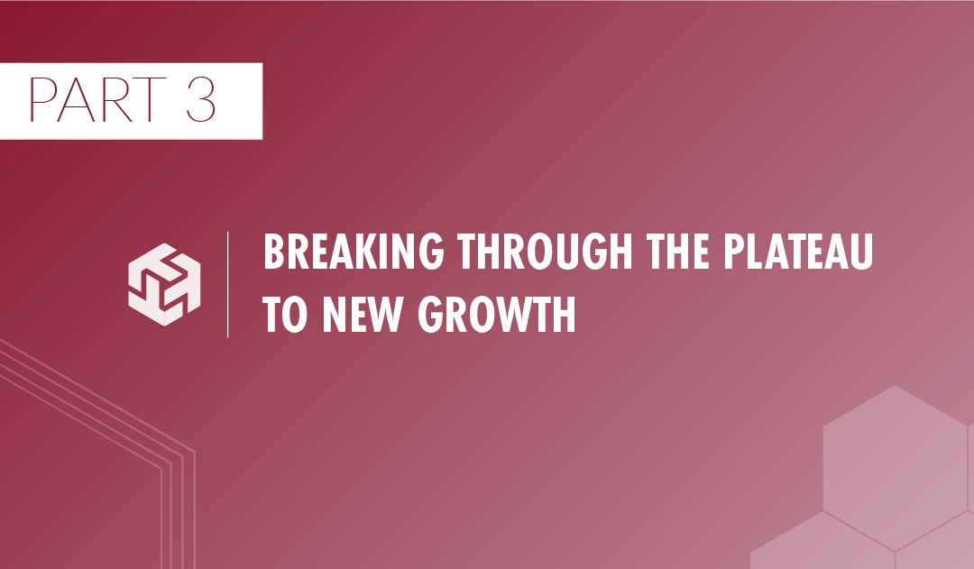 Growth Guide | Part 3 – Breaking Through To New Growth