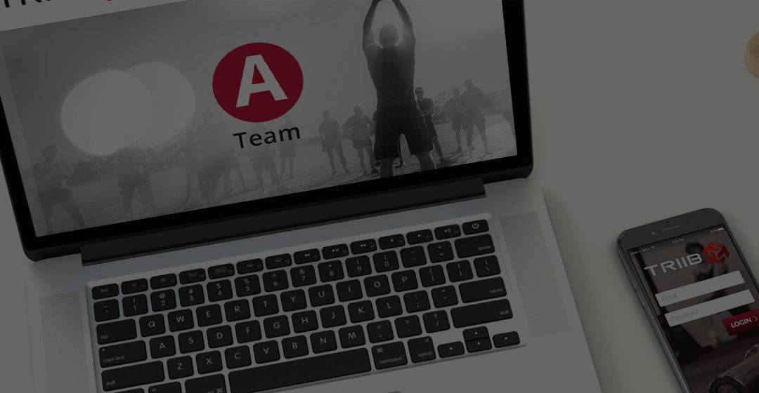 TRIIB Web Leaderboards